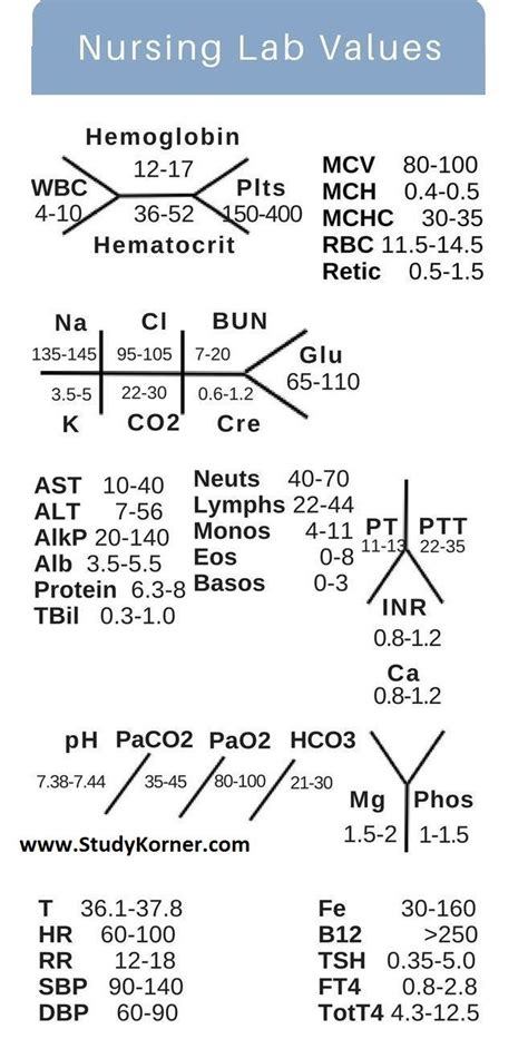 Nursing Fishbone Lab Values Diagram for NCLEX Nursing fish bone. Quick ...