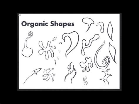 Examples Of Organic Shapes In Art