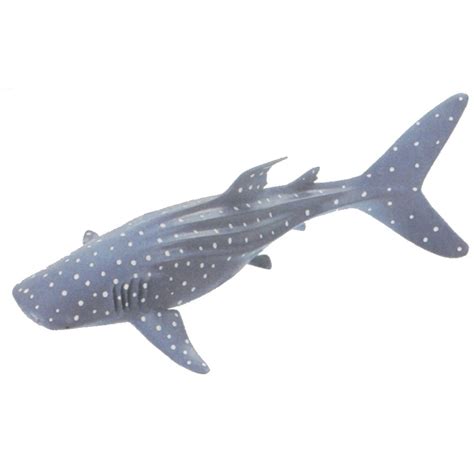 Schleich 16076 Whale Shark - Schleich Sealife Figure – Toy Dreamer