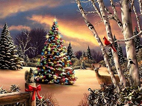 Winter sunset, tree, christmas, snow, sunset, winter, HD wallpaper | Peakpx