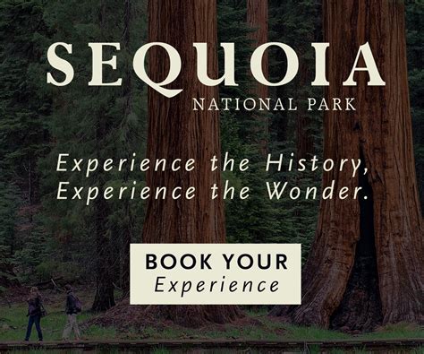 Sequoia National Park on Behance