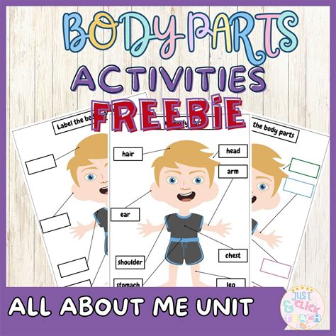 Free Body parts matching activities | body parts poster | All about me unit | Made By Teachers