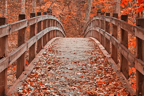 Ruby Red Autumn Bridge by somadjinn on DeviantArt