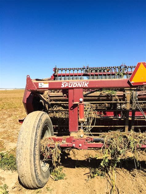 Scenes from the 2015 Idaho Potato Harvest - Foxes Love Lemons