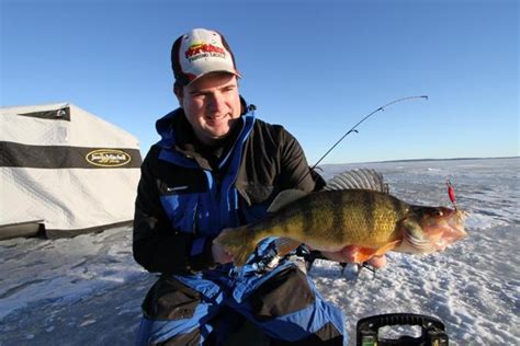 ice-fishing-rig-perch : Ice Fishing Chat