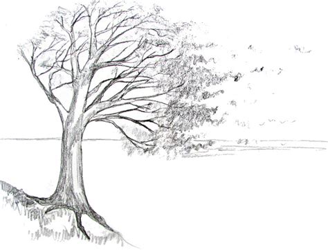 How To Draw A Tree - Happy Family Art