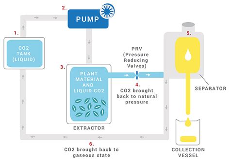 A Comprehensive Guide to Essential Oil Extraction Methods