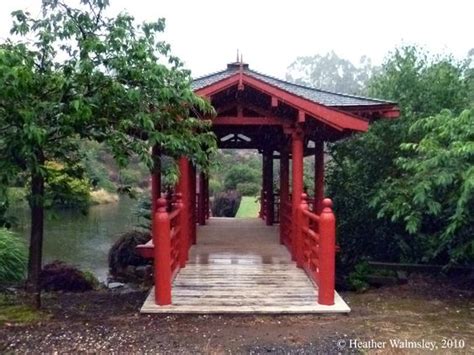 Japanese Cherry Blossom Waterfall | ... Japanese Garden was made by special arrangement with ...