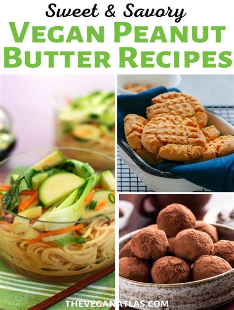 23+ Sweet & Savory Vegan Peanut Butter Recipes