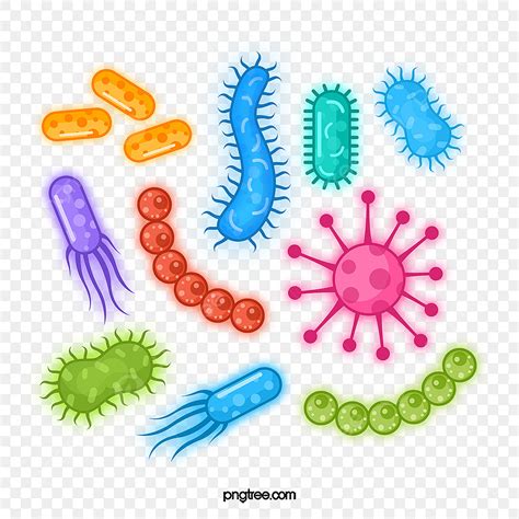 Microorganism Virus Clipart PNG Images, Virus Bacteria Microorganism ...