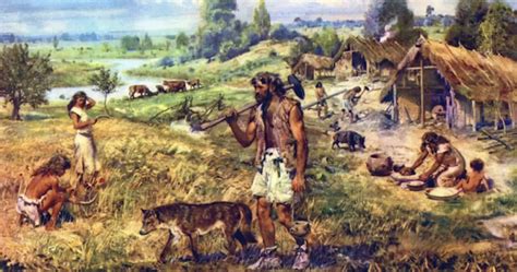 Neolithic Age Farming Tools