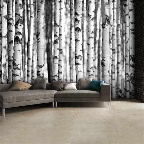 Black and White Birch Trees Wall Mural | 315cm x 232cm | Tree wallpaper ...