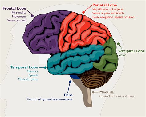 Brain Tumor – Causes and the best Treatment | Dr Raos Hospital - Dr Rao's Hospitals