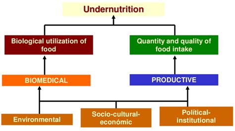 FACTORS ASSOCIATED WITH THE DEVELOPMENT OF UNDERNUTRITION 6 | Download Scientific Diagram