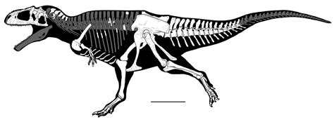 Species New to Science: [Paleontology • 2022] Meraxes gigas • New Giant Carnivorous Dinosaur ...