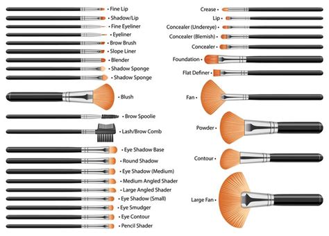 32 makeup brushes with names | Makeup brushes, Makeup, Brightening skincare