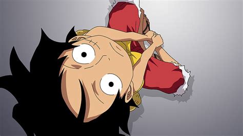 HD wallpaper: funny, one Piece | Wallpaper Flare