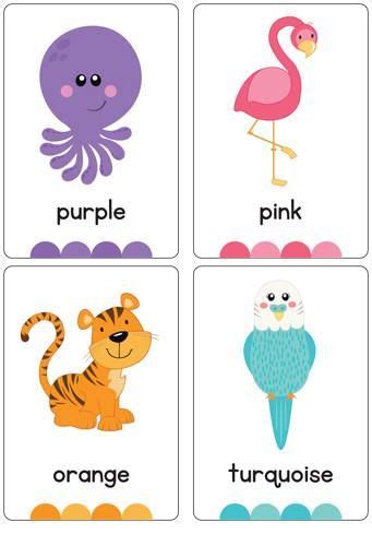 Colour Animal Flash Cards – Busy Little Bugs Learning Cards, Baby Learning, Infant Activities ...