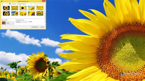 Download Sunflower Windows 7 Theme