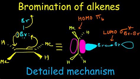 Bromination of alkenes : Electrophilic addition of bromine to alkenes ...