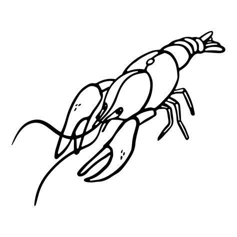 Lobster Hand-drawn outline Vector illustration in engraving style. Fresh organic seafood ...