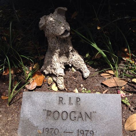 The most famous dead pet in The United States is Poogan of Poogan's Porch restaurant in ...