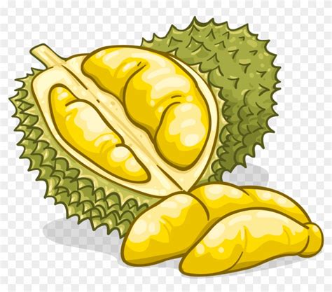 Durian Food Flavor Fruit Clip Art Durian Png Free Transparent Png | The Best Porn Website