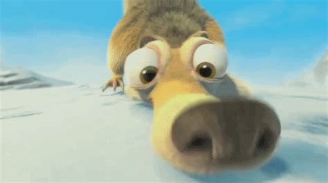 scrat renifle - image animée GIF