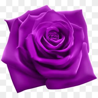 Free Rose Png Png Transparent Images - PikPng