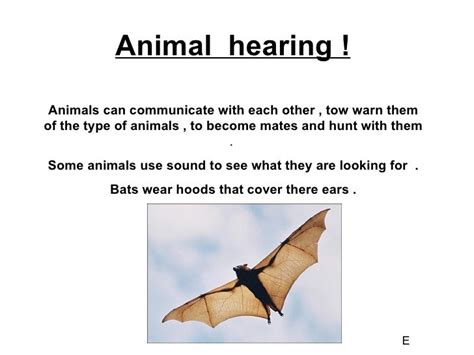 Human Hearing