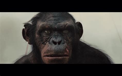 Image - Koba.png | Planet of the Apes Wiki | FANDOM powered by Wikia