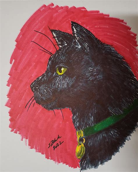 Black Cat staring Drawing by Sharon Blank - Fine Art America