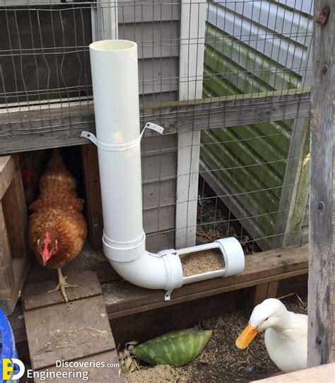 How To Use PVC Pipe For Chicken Feeder | Engineering Discoveries