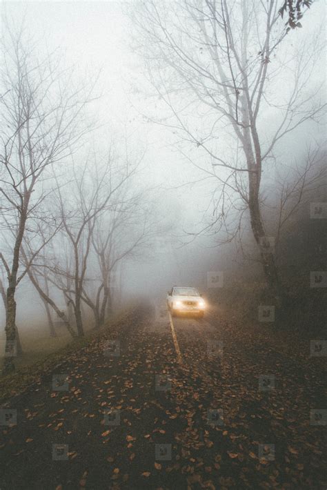 Car driving on foggy forest road stock photo (121152) - YouWorkForThem