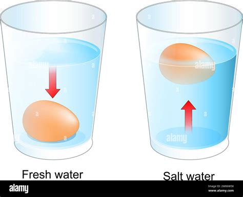 Egg test. Two glasses with Fresh and salt water. experiment for kids ...