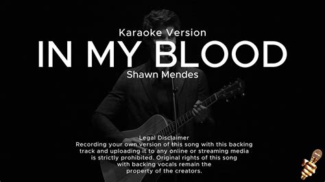 Shawn Mendes - In My Blood (Karaoke Version) - YouTube