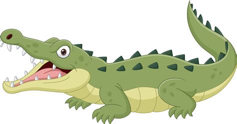 Cartoon crocodile isolated on white background 5161876 Vector Art at ...