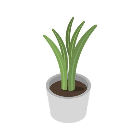 Plant Pot Illustration - Free Download Miscellaneous Illustrations ...