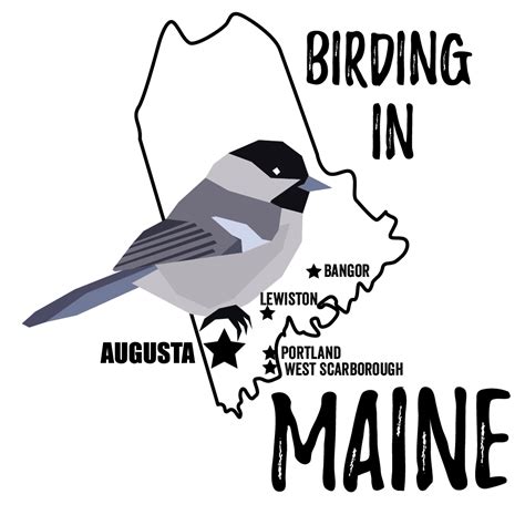 Birds in Maine - Bird Watching Academy