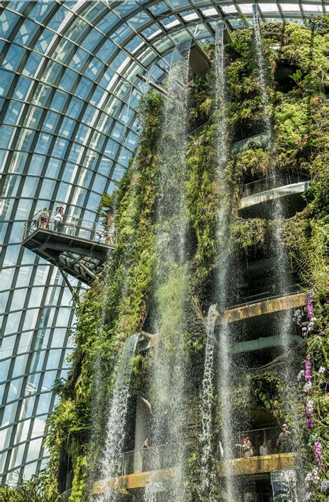 Cloud Forest Waterfall | Forest waterfall, Waterfall, Gorgeous gardens