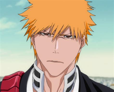 Image - Ep365 Ichigo Kurosaki.png - Bleach Wiki - Your guide to the Bleach manga and anime series