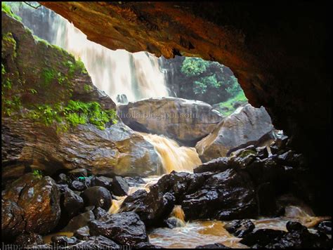 The Voice of Greenery - Trekking and Travelling in Western Ghats ...