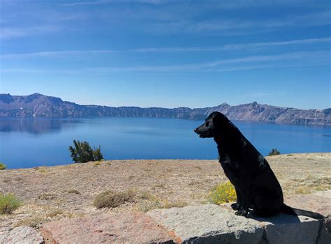 crater-lake05 – Adventures With Dog