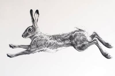 Running Rabbit Drawing at PaintingValley.com | Explore collection of Running Rabbit Drawing