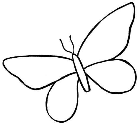 Butterfly Drawing {6 Easy Steps}! - The Graphics Fairy