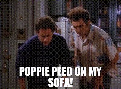 YARN | Poppie peed on my sofa! | Seinfeld (1989) - S06E05 The Couch ...