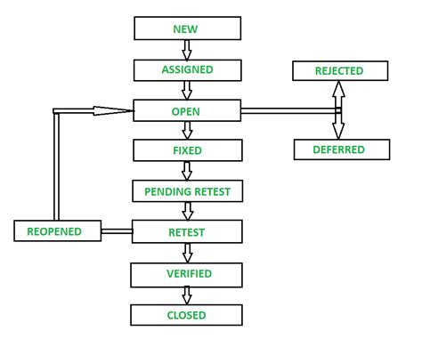 Bug Life Cycle Diagram