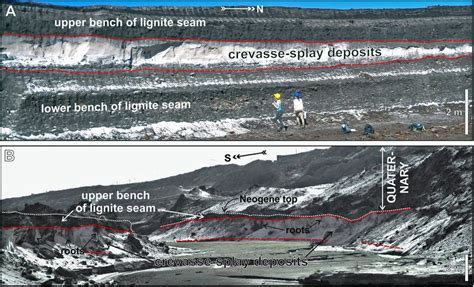 Crevasse Splay Facies