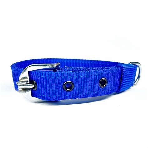 Dog Neck Collar at Rs 50 | Dog Collar in Kanpur | ID: 24620768355