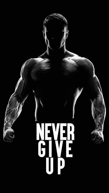 Never Give Up, never ever give up HD wallpaper | Pxfuel